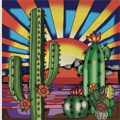 Diamond Art Jacarou - Cactus