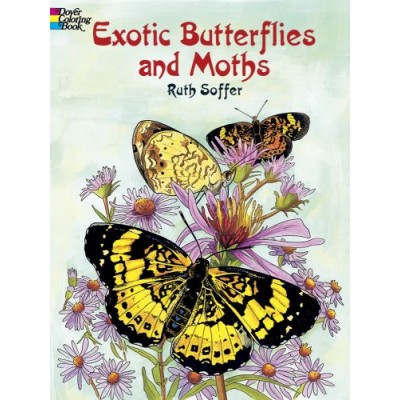Livre à Colorier : Papillons Exotiques