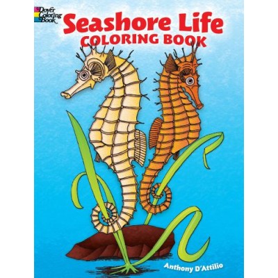 Livre à Colorier : Seashore Life