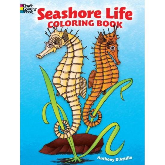 Livre à Colorier : Seashore Life